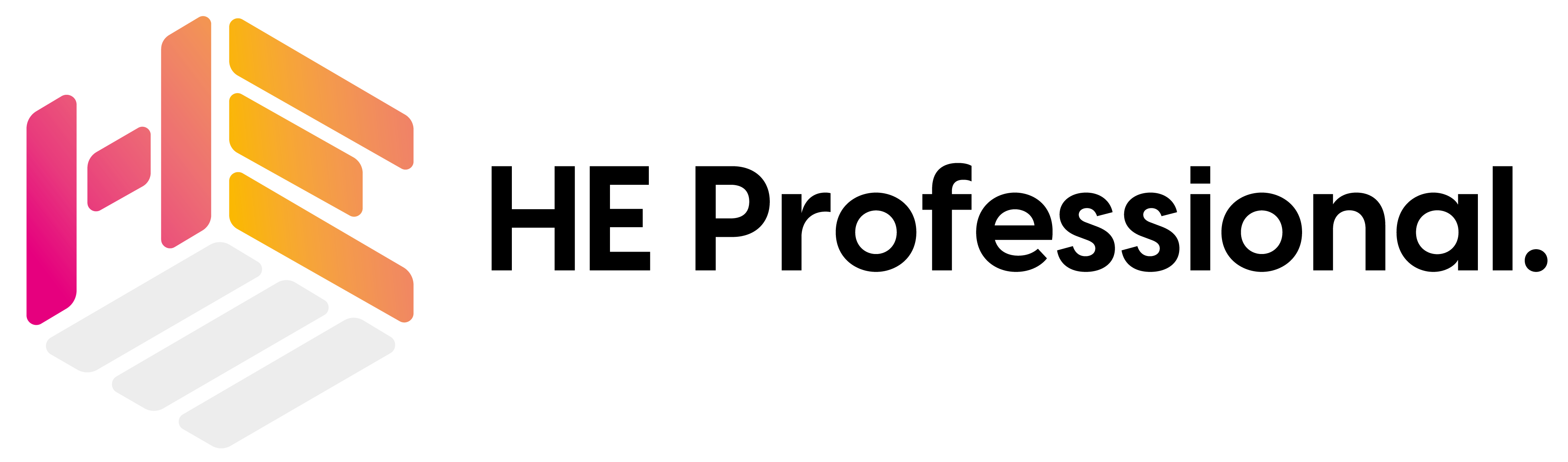 HE Professional Logo Colour Large